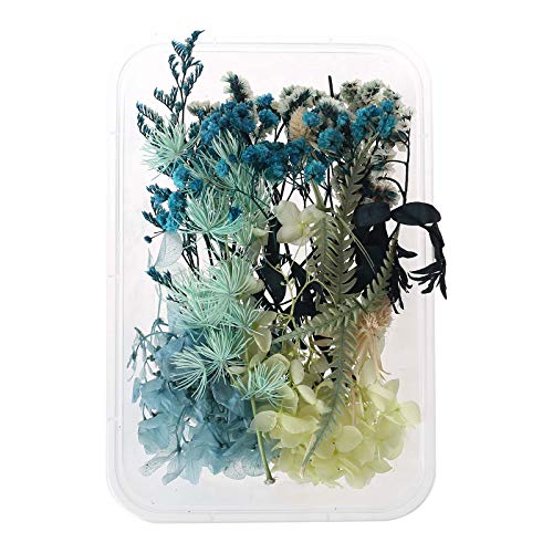 geneic 1 Doos Real Mix Gedroogde Bloemen voor Aromatherapie Kaars Hars Sieraden Droge Planten Geperst Bloem Maken Craft DIY Accessor