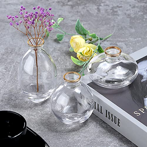 EylKoi Bud Vases Glass Mordern - Image 3
