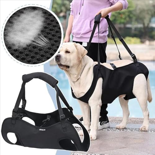 Tragehilfe Hund Treppe, Hundeliftgeschirr Mobilitätshilfen Einstellbar - Unterstützung für Mittelgroße Ältere Hunde Mit Schwachen Beinen, Chirurgie Rehabilitation (XL)