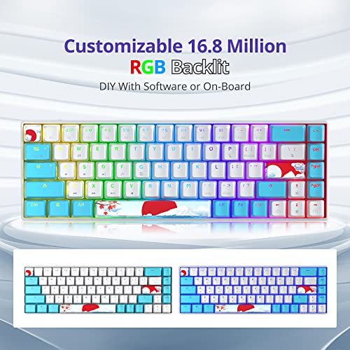 Image of Fogruaden 60% Mechanical Gaming Keyboard, 68 Keys, RGB Backlit, Compact 60 Percent Wired Keyboard for Win /Mac PC Gamer, Easy to Carry on Trip (68Sea-RedSwitch-RGB)