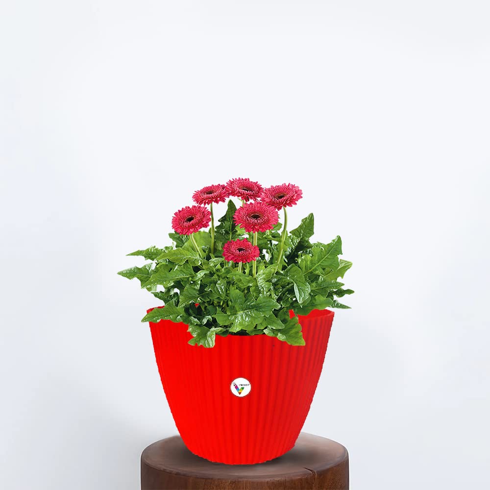 VINSHRA Plastic Flower Pot, Red, 11 Inch, 2 Pieces Indoor/Outdoor Usage Lightweight, Weather Resistant, Durable, Uv Resistant