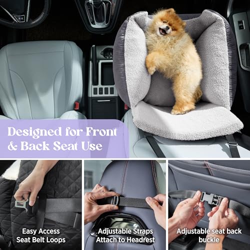 Lesure Hundesitz Auto Kleine Hunde - Wasserdichter Hundesitz Auto Rückbank, Hunde Autositz Für Kleine Hundemit, Ansteckbare Leine Für Autositz Hund,Dunkel grau