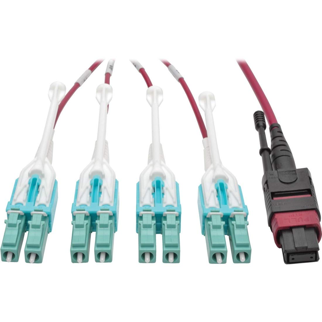 Tripp Lite 5M MTP MPO 8xLC 50/125 OM4 Fanout Câble de fibre optique 12 fibre 40 Go CMP Magenta 5 m (N845-05M-8L-MG)