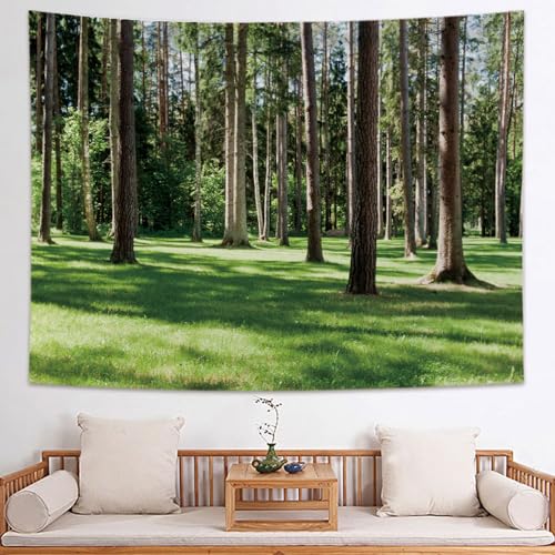 [KMBIGNK] ^yXg[ JGf̐X ڂ Ђ܂ z|X^[  X G ȕǊ| Mtg a Ǌ| Ǐ gt n ǂ̑ 1.5x1.3 CeA EH[A[g Vj @\ fUC11