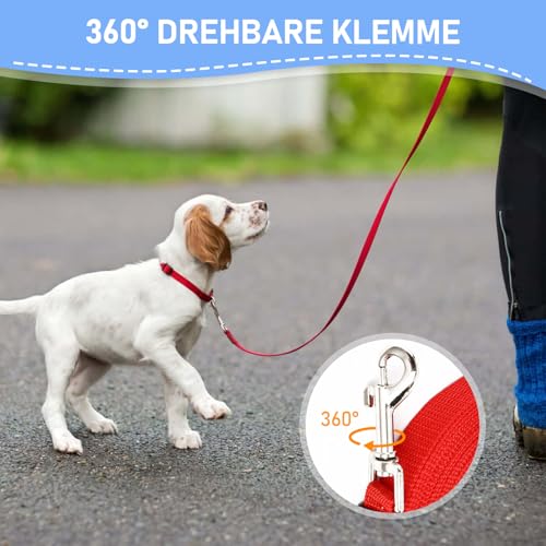 Hurifeng Schleppleine 10m für Hunde – Robuste Hundeleine für Training & Outdoor – PP-Material mit Zinklegierung D-Karabiner – Für Kleine bis Große Hunde (Rot)