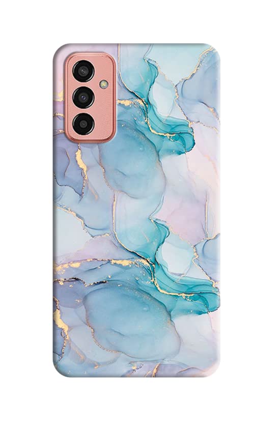 Pinaaki Enterprises 3D Printed Hard Back Cover for Samsung Galaxy F13 (D-16)