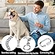 Kettenhalsband Hund, 65cm Hundehalsband Kette Edelstahl Hundehalskette mit Sicherer Schnalle Verstellbare Hundehalsband Kette Halsband für Hund Spazieren Gehen