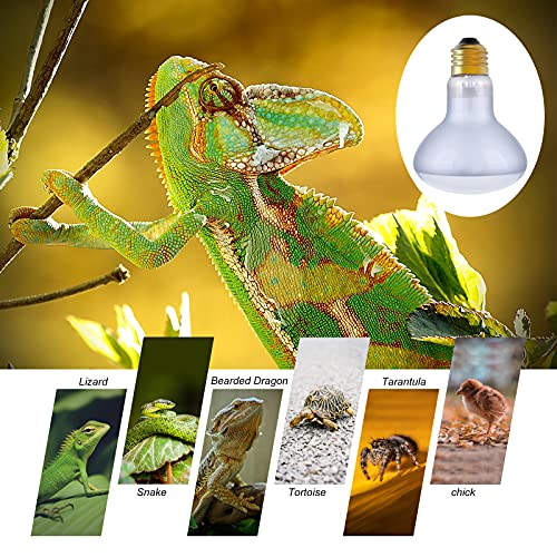 Smart Egg Reptile Heat Lamp Bulb Light, Basking Spot Daylight Heat Lamp 2 Pack For Lizard Tortoise Bearded Dragon Hedgehogs Amphibians #TOP1