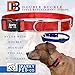 Sparky Pet Co - ECollar Replacement Strap - Double Buckle Dog Collar - Rugged Nylon - Adjustable - D Ring - Quick Release Metal Clasp - for Invisible Fence Systems - 3/4