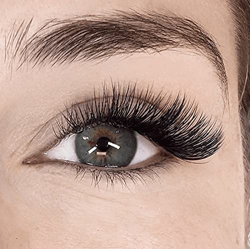 ZemGlam False Eyelash, Long Natural 3D Thick Long Eyelashes 10 Pairs - (Pack of 10 Pair) 1