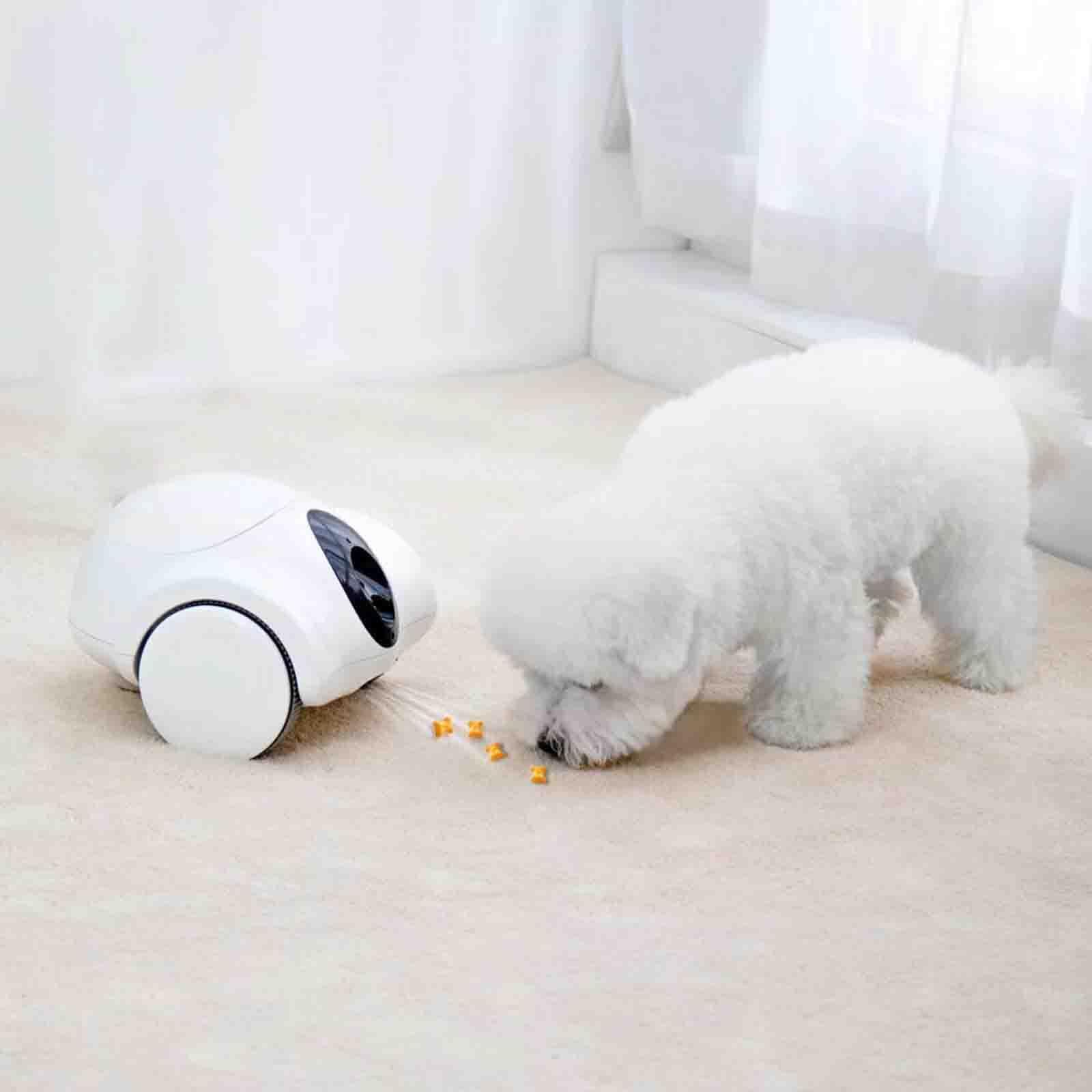 Cámara interactiva para mascotas con dispensador de golosinas, controlada por aplicación, 1080p, HD, inclinación, para perros, dispensación automática, control remoto, juego con gatos y perros a
