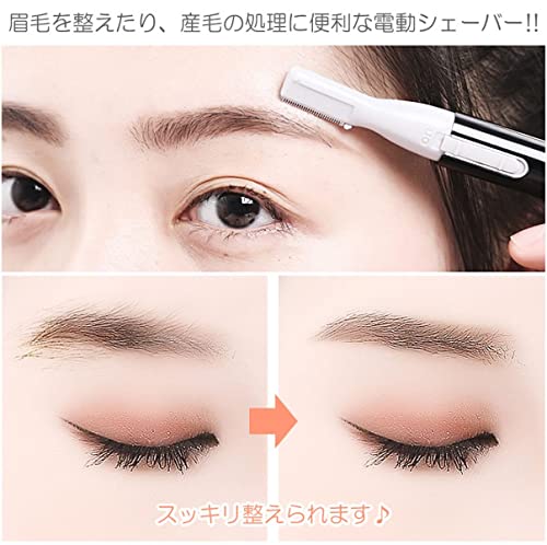 GoodsLand 電池式 電動 シェーバー GD-DNSORI-BK の商品画像 2