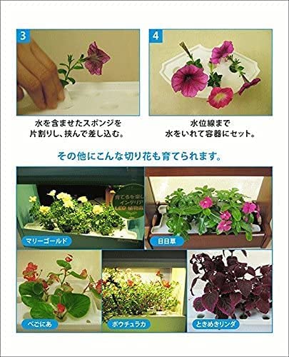 Amazon｜アカリーナ akarina01 Terrara 灯菜 LED水耕栽培器 野菜栽培