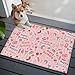 Xibuciein Happy Birthday Felt Area Rug with Dotted Non-Slip Backing, Pink Ice Cream Cakes Donuts Hand-Drawn Desserts Natural Floor Mat for Living Room Bedroom Office, 60x90cm, Rectangle