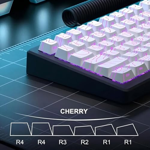 Set de teclas Topographic 4.0, 97 teclas PBT perfil Cherry miniatura 4