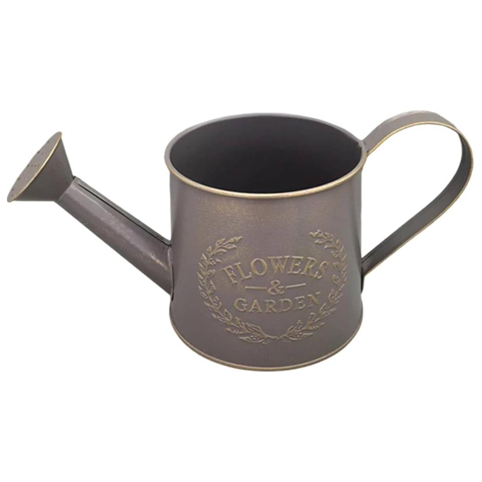 Vintage Metal Flower Watering Can with Handle Small Garden Watering Bucket Galvanized Metal Watering Can for Indoor Plants Succulents Balcony and Outdoor (Grey)
