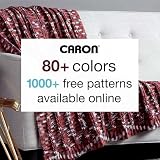 Caron CAR Jumbo Ombre Przędza łososiowa - 2 opakowania 340 g/12 uncji - 100% akryl - #4 czesankowa (średnia) - 590 jardów - dziewiarstwo/szydełkowanie