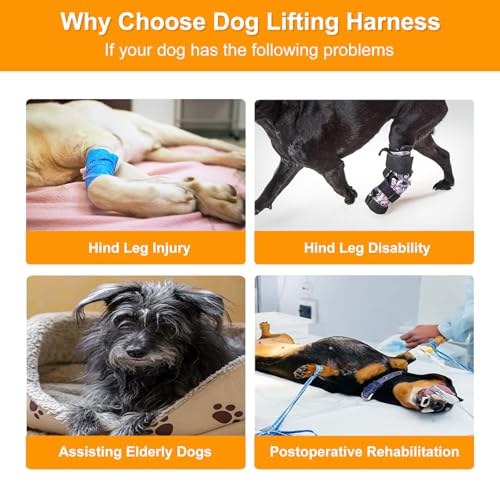 Dog Lifting Harness,Dog Support Harness Slings for Back Legs,Adjustable Assistance Support Strap for Injured,Disabled,Elderly Dogs (S) - Image 4