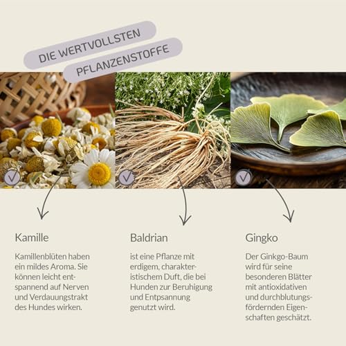 Provicell | Beruhigungsmittel für Hunde I Ideal für Silvester & Urlaub I Natürliche Entspannung mit Baldrian und Melisse I Mit Tierärzten in Deutschland entwickelt | RelaxVital Pulver 60 g