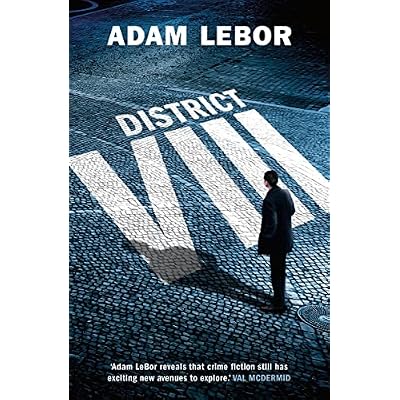 District VIII