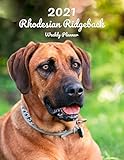  2021 Rhodesian Ridgeback Weekly Planner: 14 Months  124 pages 8.5x11 in.  Diary  Organizer  Agenda  Appointment  Calendar  For Dog Lovers