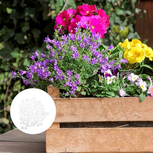 Bolas de Ceramsita para Macetas de Plantas en Tierra y Hogar 8