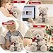 Oso Peluche 23 cm Tedy Bear Oso de Peluche Imagen de Oso Peluche 23 cm Tedy Bear Oso de Peluche