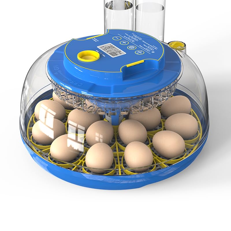 Incubadora Huevos Gallina, Incubadora Automática para 18 Huevos, Control de Temperatura y Humedad, Volteo y Detener Automático Llenado de Agua Automático, con Ovoscopio (18 huevos)