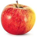 Apfel Topaz 2 x 1 kg