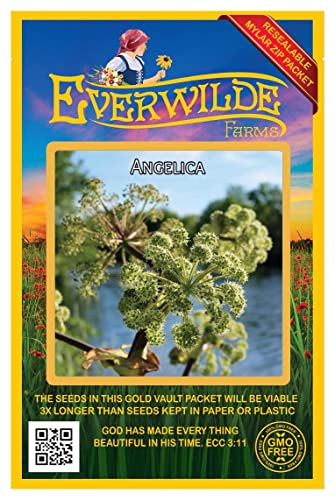 Everwilde Farms - 200 Angelica Native Wildflower Seeds - Gold Vault Jumbo Seed Packet