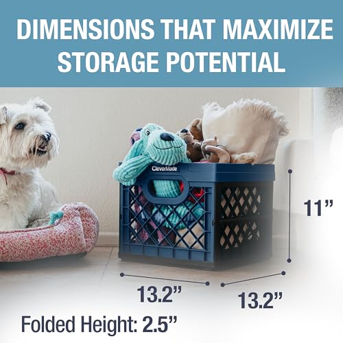 Foldable Reusable Storage Crate