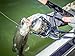 Pflueger PRESSP25X President Spinning Fishing Reel, 30, Blue
