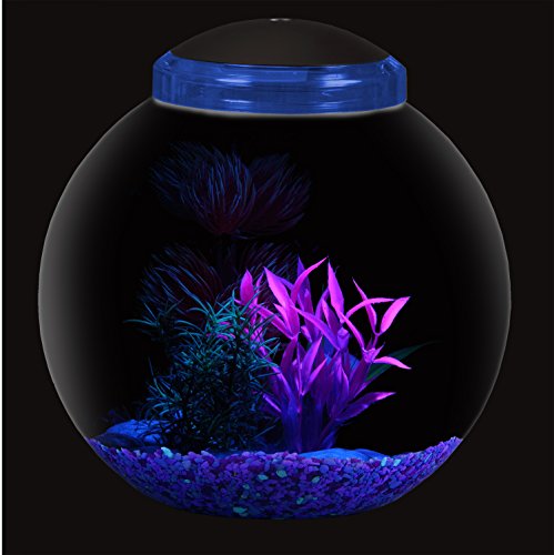BettaTank 3-Gallon Fish Bowl with LED Lighting