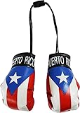 Puerto Rico Mini Boxing Gloves