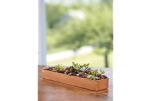 Gardener's Supply Company 18" Watertight Copper Tray | Elegant Indoor Outdoor Planter and Décor