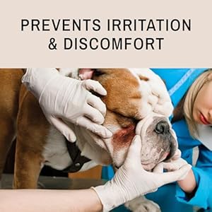 Eye-Envy-Bulldog-Wrinkle-Wipes-Wrinkle-Wipes-for-French-Bulldog-Pug-English-Bulldog-Cleans-Wrinkles-Bulldog-Tail-Pockets-Removes-stains-and-odors-Natural-fragrance-free-wipes-60-count - Cucciolini Doodles   Eye-Envy-Bulldog-Wrinkle-Wipes-Wrinkle-Wipes-for-French-Bulldog-Pug-English-Bulldog-Cleans-Wrinkles-Bulldog-Tail-Pockets-Removes-stains-and-odors-Natural-fragrance-free-wipes-60-count