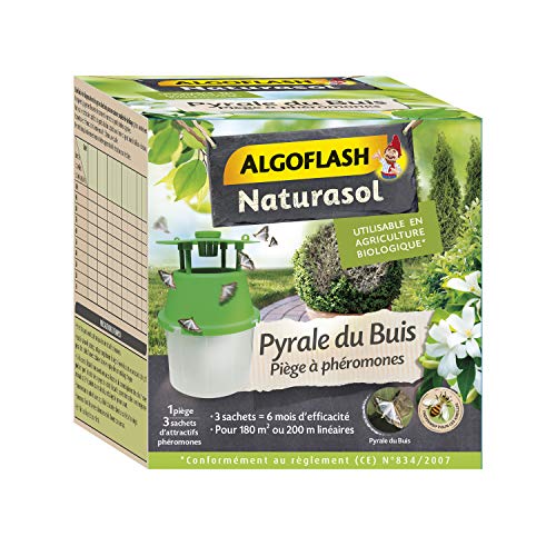 ALGOFLASH NATURASOL Pyrale du Buis, PiÃšge à Phéromones, Prêt à l'emploi, 3 capsules de phéromones, BIOPIBUI