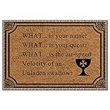 EmilyHome Funny Door Mats Outdoor Entrance, Entryway Rug 'What is Your Name and The Holy Grail' 23.6 X15.7 Inch Doormat