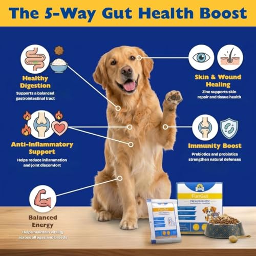 Image of FurrGut Pre & Probiotic for Dogs & Cats (20 Sachets) | Gut & Digestive Health Support | with Colostrum, Zinc & FOS | Supports Immunity | Helps Reduce Itching & Paw Licking | Powder Formula