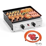 ROVSUN Gasgrill mit 2 Brennern,Gas grill Camping 4.8kW, Gasgrill aus Edelstahl, Tischgrill für Camping, Garten & Strand (2 Brennner, 44x36x16 cm)
