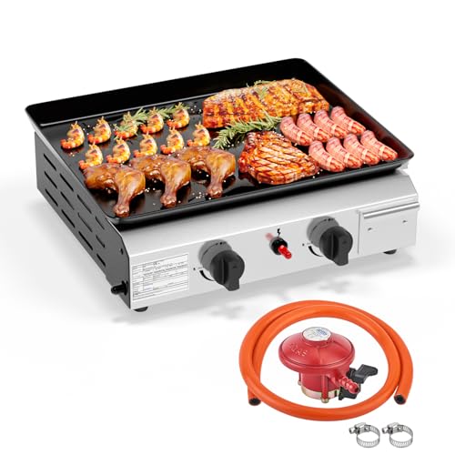 ROVSUN Gasgrill mit 2 Brennern,Gas grill Camping 4.8kW, Gasgrill aus Edelstahl, Tischgrill für Camping, Garten & Strand (2 Brennner, 44x36x16 cm)