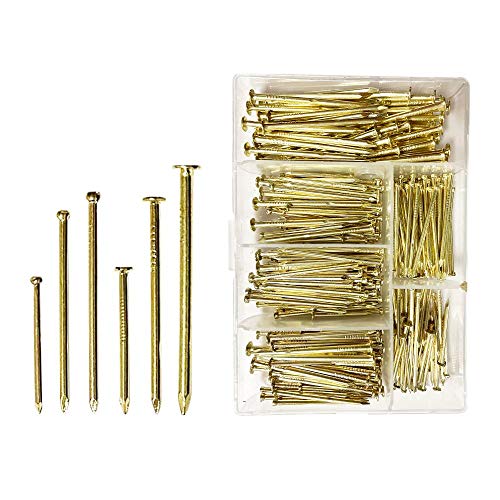 Tuplip Fe 360pcs Nails Assortment kit Brass Plated 6 Size, Nails for Hanging Pictures, Gold Nails, Small Brass Nails, Finishing Nails, Wood Nails, Small Nail, Nails Hardware, Pin Nails, Hanging Nails