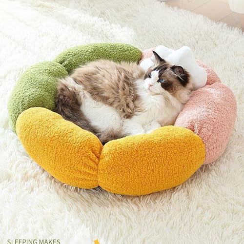 Lit en peluche ellipsoïdale pour chats et petits chiens avec dossier