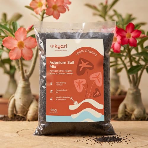 Image of KYARI Adenium Soil Mix 2 kg | Well-Draining Potting Mix for Desert Rose, Cactus & Succulents | Ready to Use | No Amendments Needed