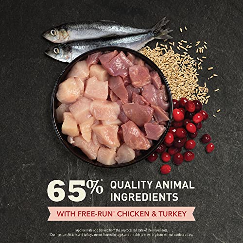 ACANA Dry Cat Food for Indoor Cats Indoor Entrée Chicken Turkey 10lb Bag | Includes Probiotics, Digestive Health, Weight Management, Free-Run Poultry, World's Finest Ingredients - Image 5