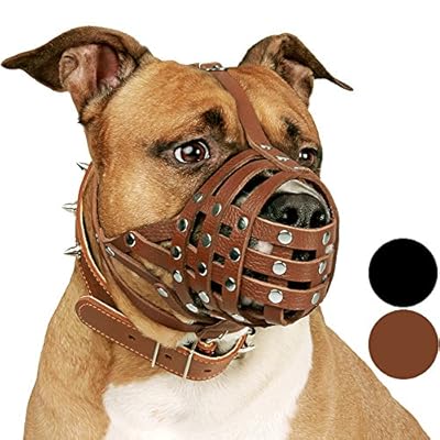 CollarDirect Pitbull Dog Muzzle Leather Amstaff Muzzles Staffordshire Terrier Secure Basket (Brown)