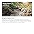 Hisense ULED Premium 65U7G QLED Series 65-inch Android 4K Smart TV with Alexa Compatibility, 1000-nit HDR10+, Dolby Vision & Atmos, 120Hz, HDMI 2.1, Game Mode Pro