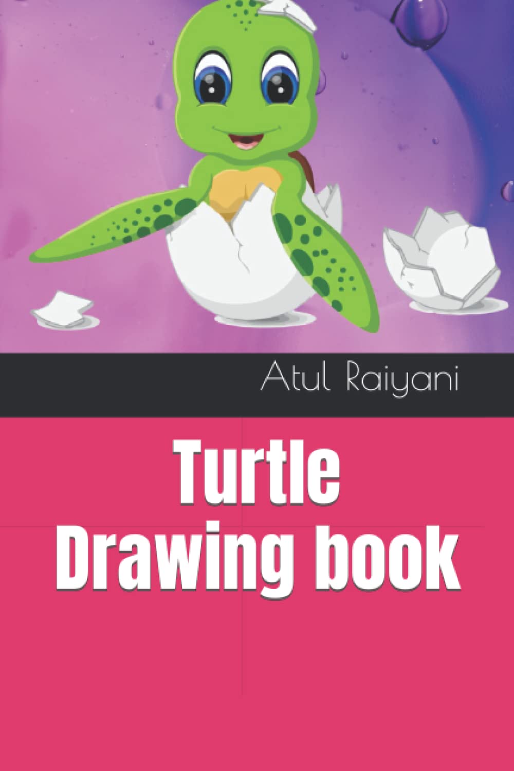 Turtle Drawing Book