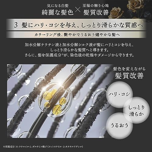 Kyogoku ミラクルカラーフォーム ブラック の商品画像 4