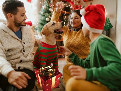 Pijama Navideño para Perro de Algodón Rayado XXX-Large miniatura 4